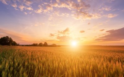 Duurzame Energie voor Agrariërs: Nu Investeren in de Toekomst